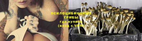 ECSTASY Покачи