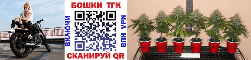 мега ссылка  цена наркотик  Любим  Конопля SATIVA & INDICA 